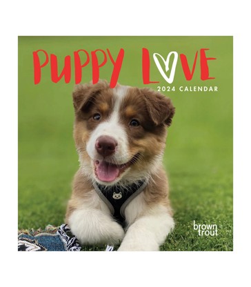 Puppy Love 2024 Square Calendar