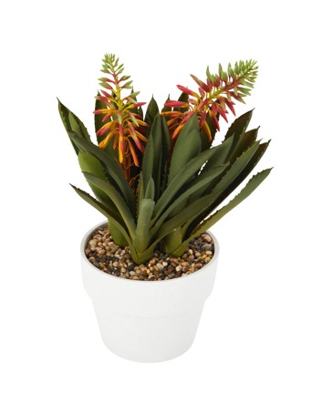 Anko Artificial Aloe Flower in Vase