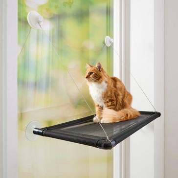 Cat Window Hammock - Anko