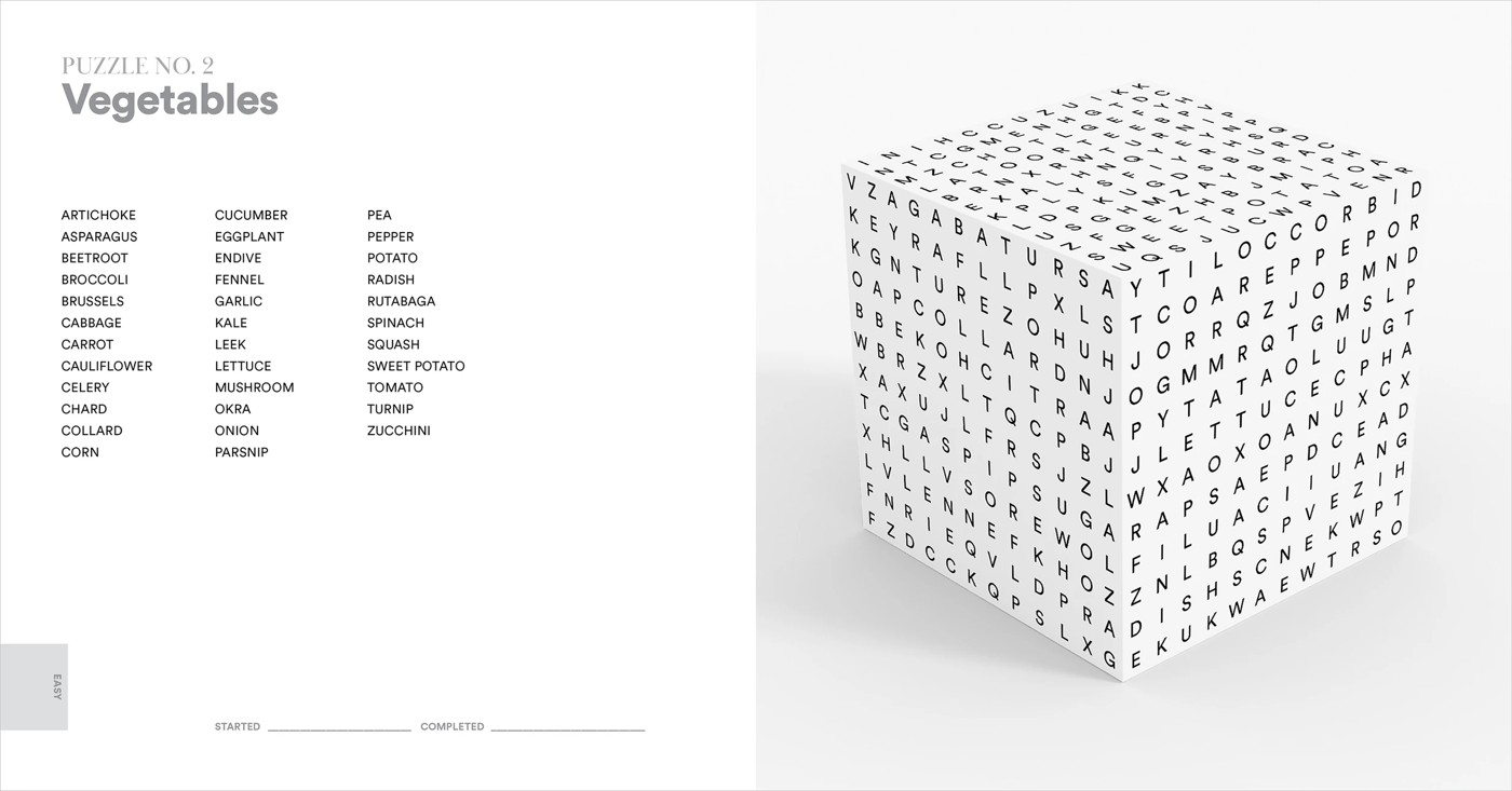 Cubesearch - Book 3 of 4