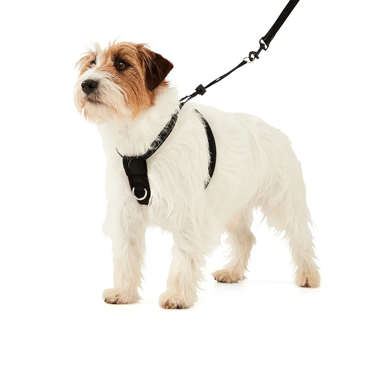 Dog No Pull Harness Anko Target Australia