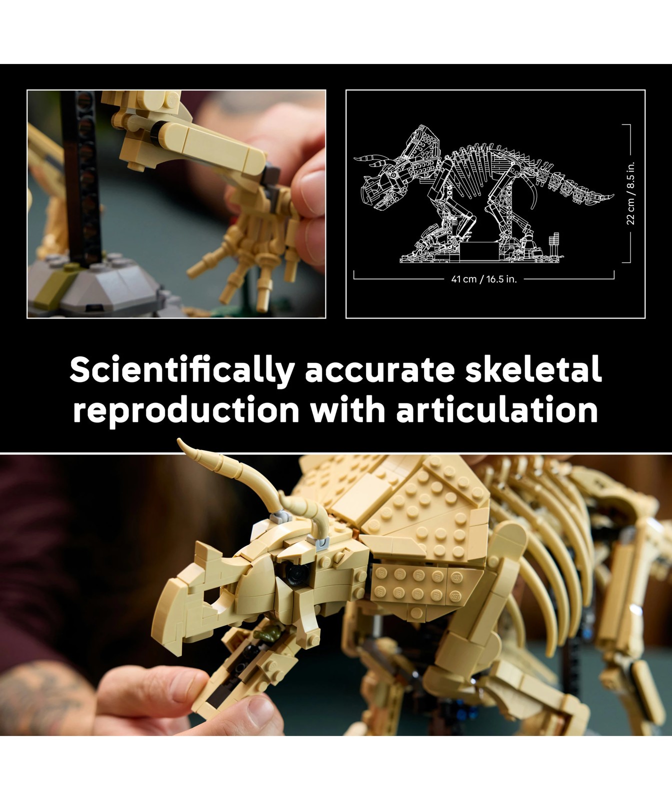 LEGO® Jurassic World Dinosaur Fossils: Triceratops 77985 4 of 5
