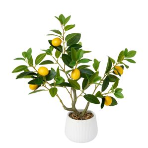 Anko Artificial Lemon Tree in Pot product image