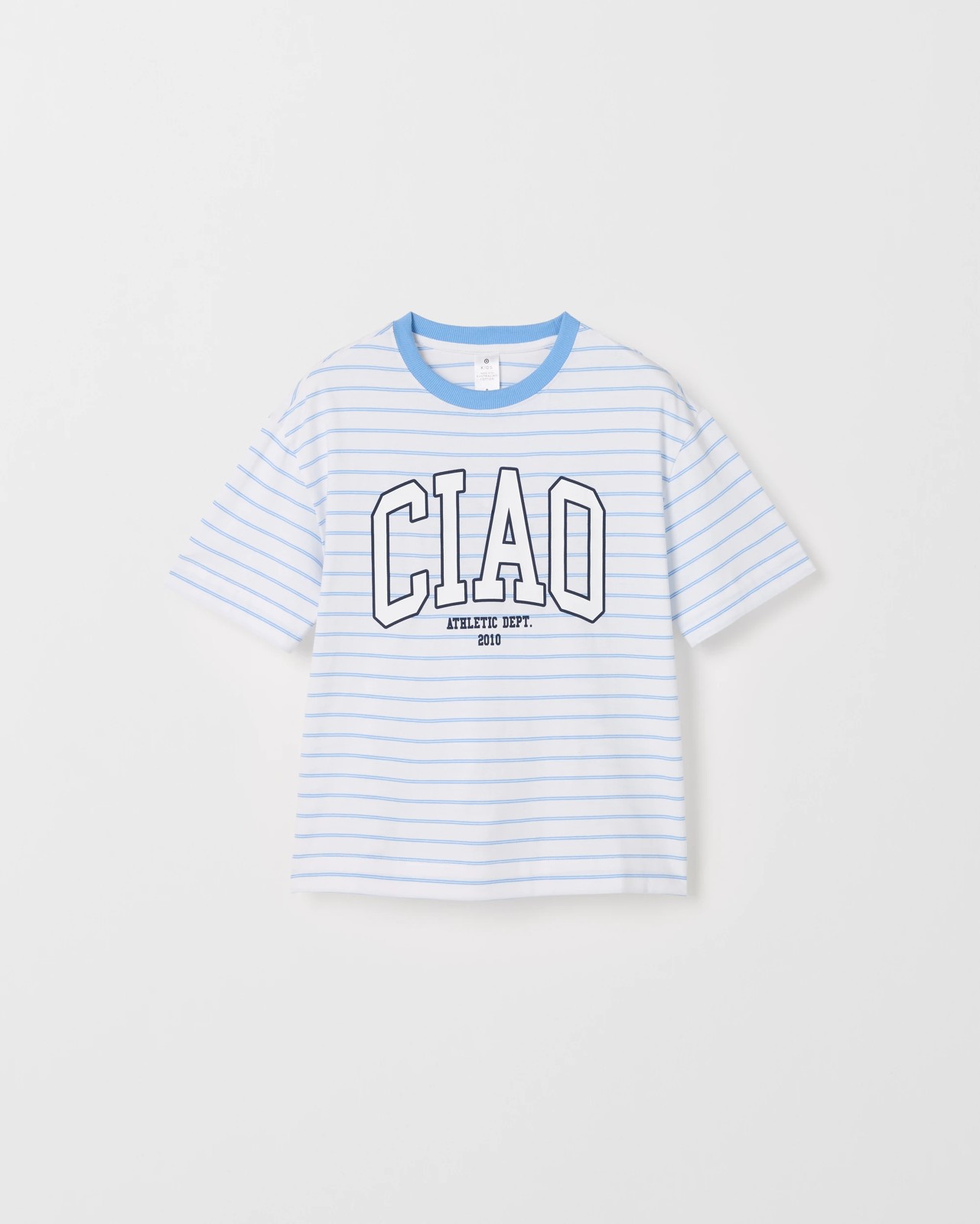 Australian Cotton Oversized T-Shirt - Blue / White Stripe 5 of 6