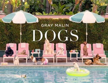 Gray Malin: Dogs by Gray Malin - Book