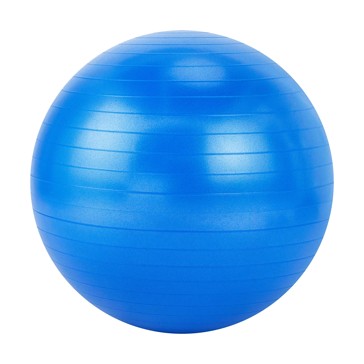 65cm Gym Ball - Anko
