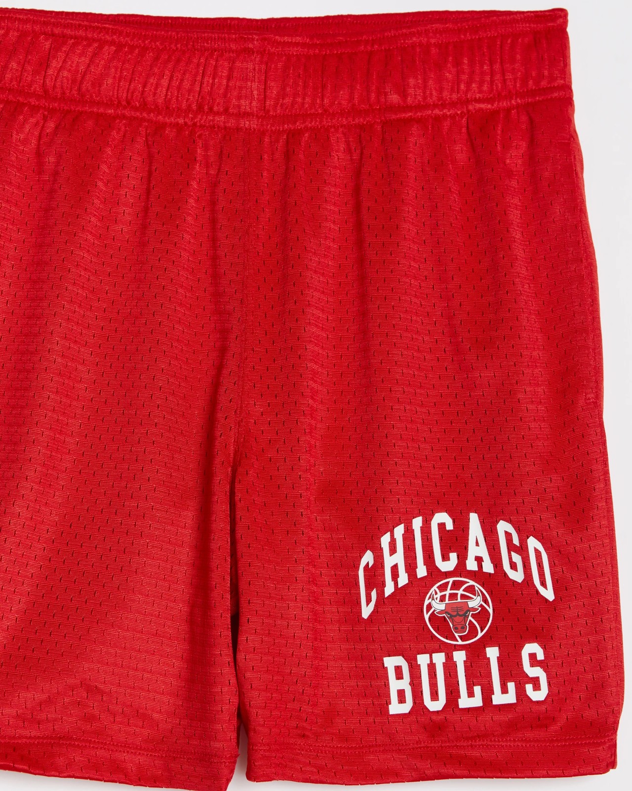 Vintage chicago best sale bulls basketball shorts