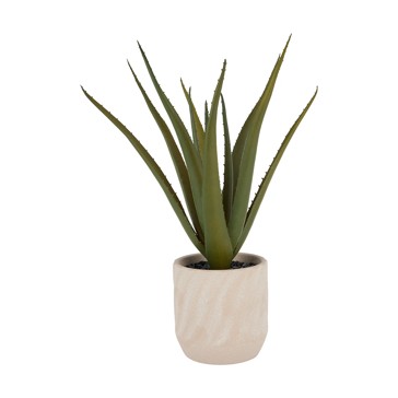 Artificial Aloe Vera in Pot - Anko