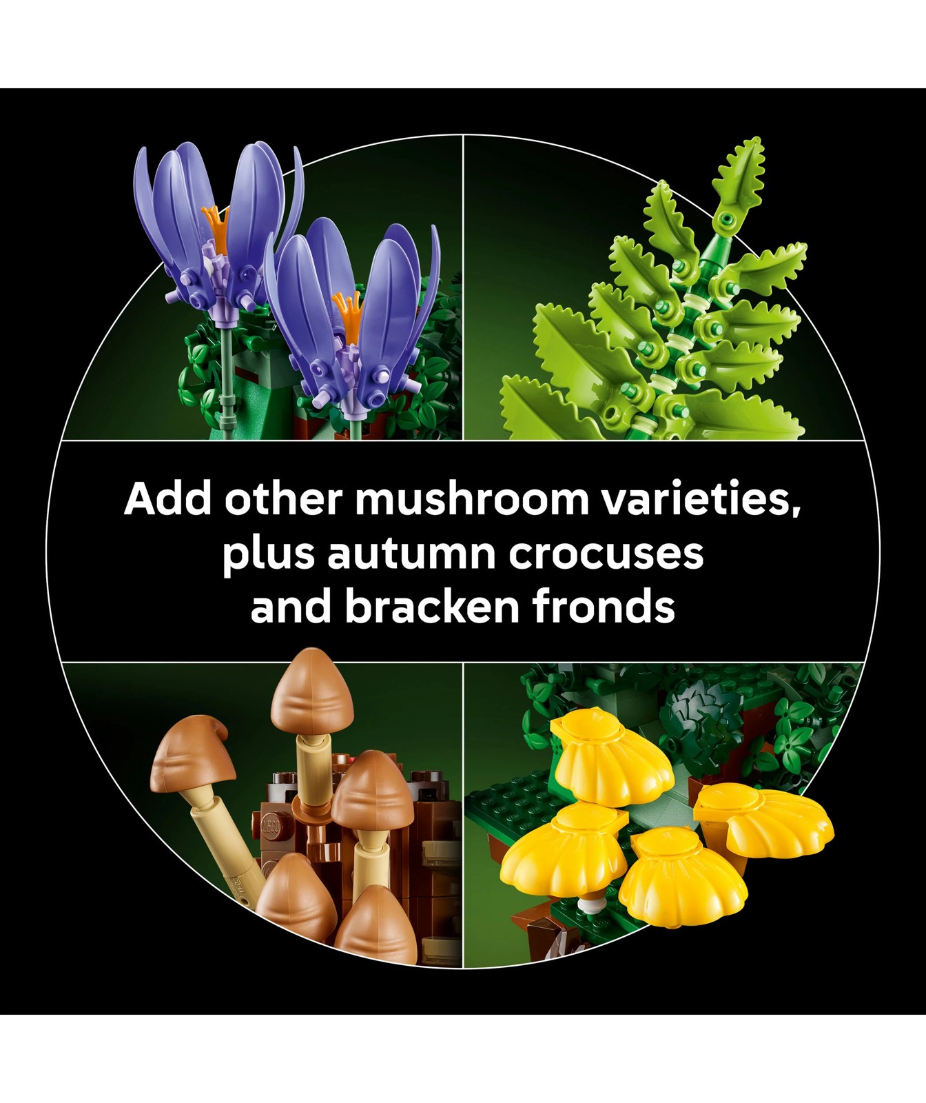 LEGO® Botanicals Woodland Mushrooms 11505 5 of 5