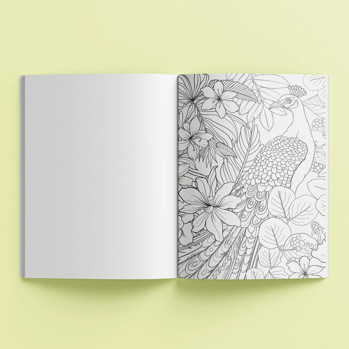 Mockups Design