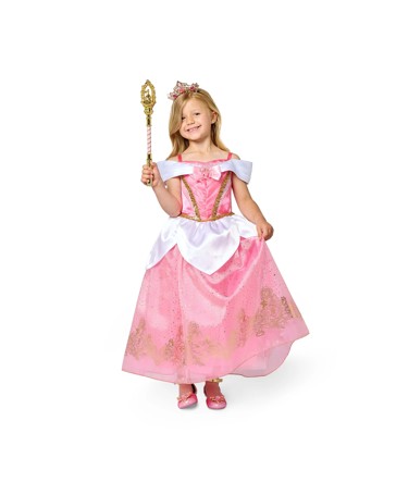 Disney Aurora Costume