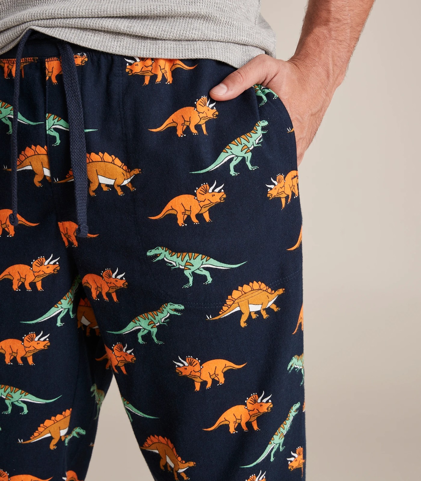 Men's dinosaur pajama online pants