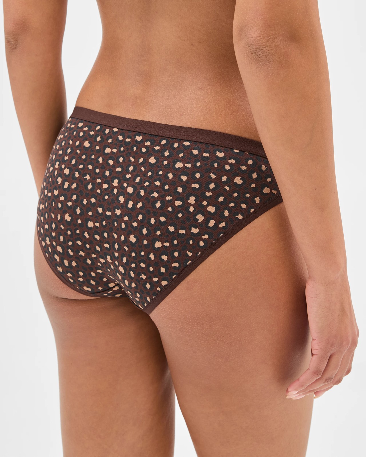 Lily Loves Australian Cotton 3 Pack Bikini Briefs - Animal Shell 4 of 4