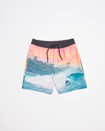 Graphic Photo Print Swim Boardshorts