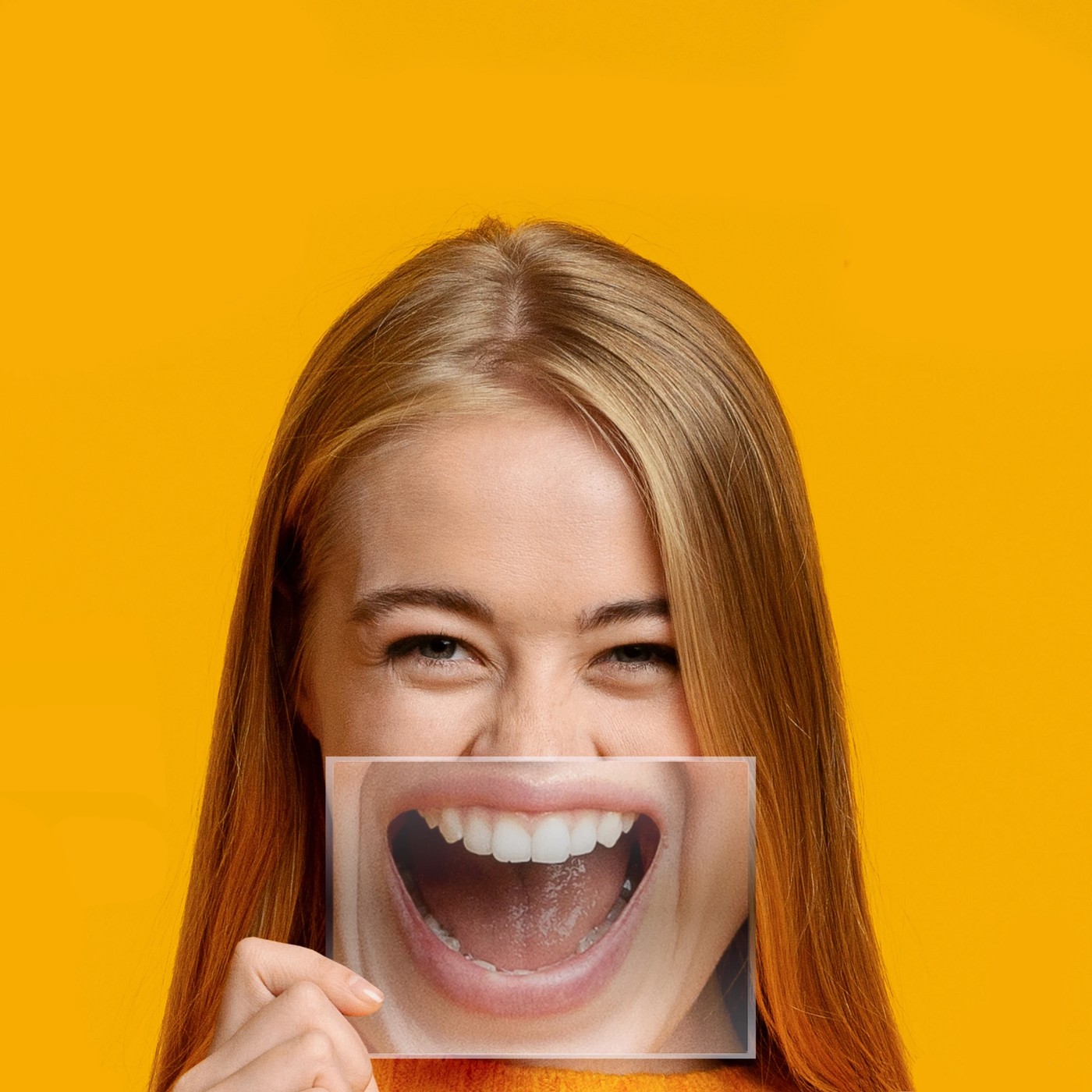 Mega Mouth 3 of 4