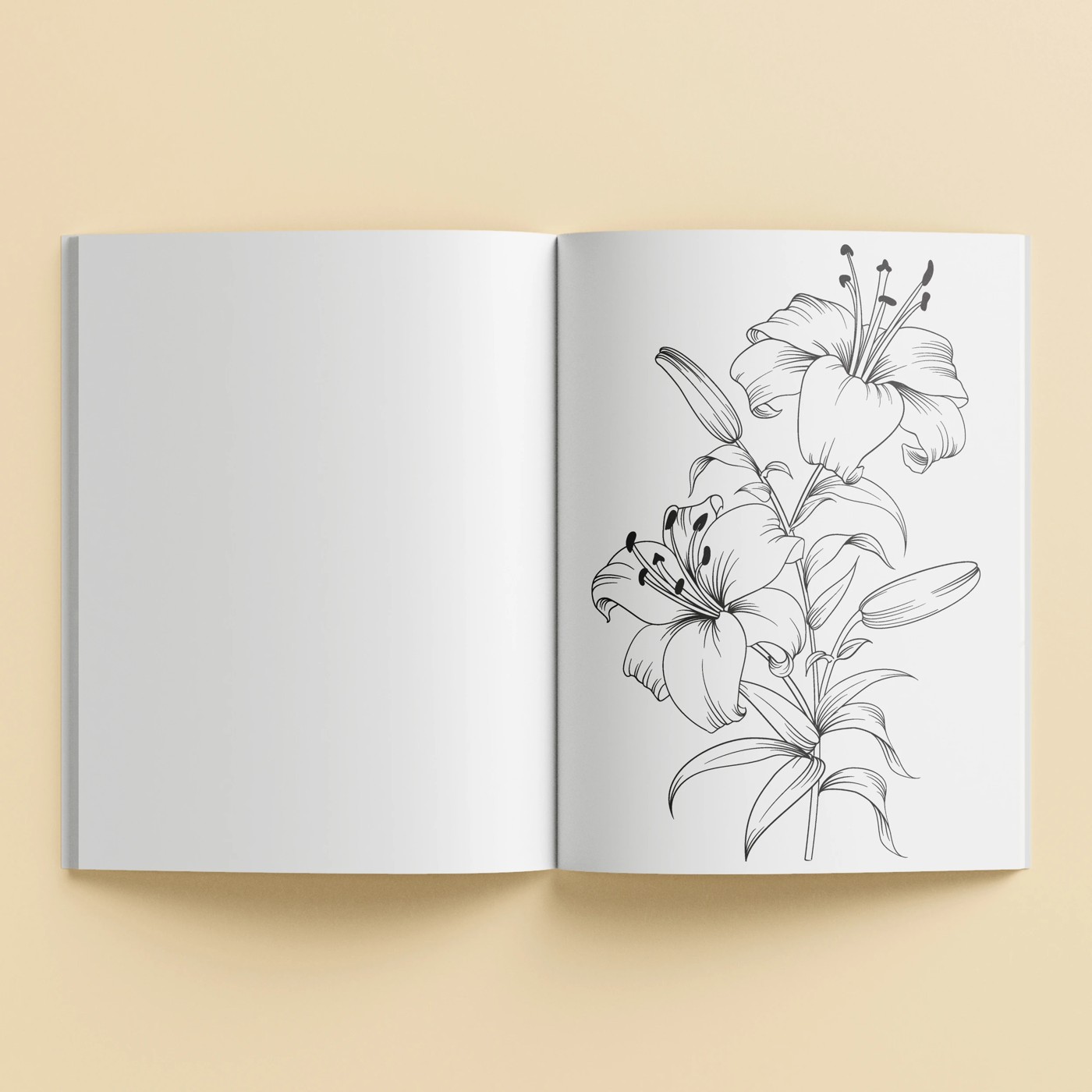 Zen Colour: Botanicals - Book 4 of 5