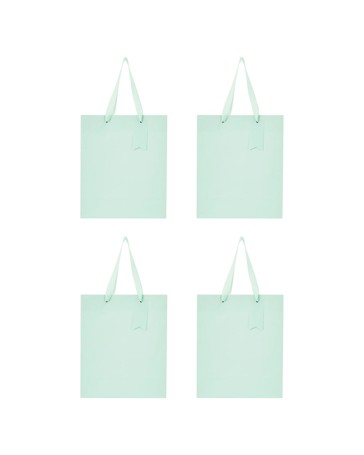 4 Pack Multi Green Gift Bags, Medium - Anko