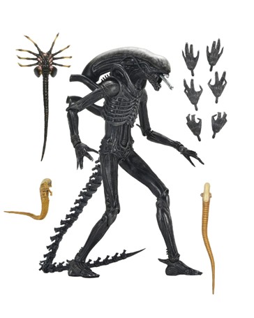 NECA - Alien Romulus Xenomorph XX121 Ultimate 7 Inch Scale Action Figure