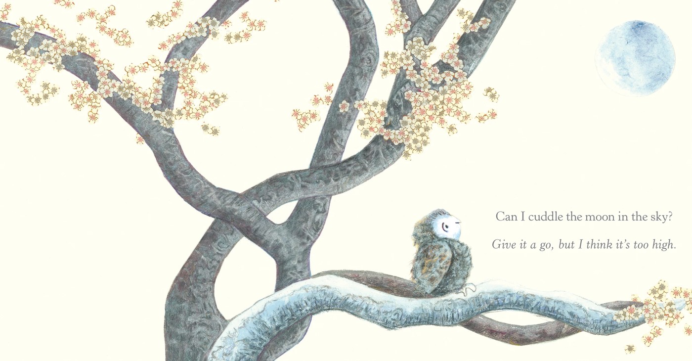 Can I Cuddle the Moon? by Kerry Brown - Book 2 of 3