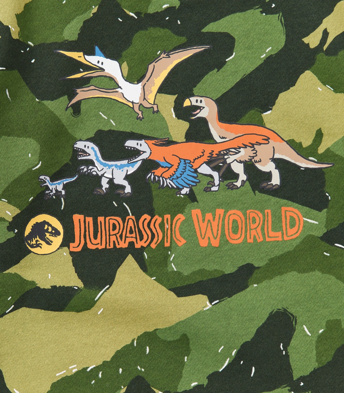 350_67379880_1+23A5CD