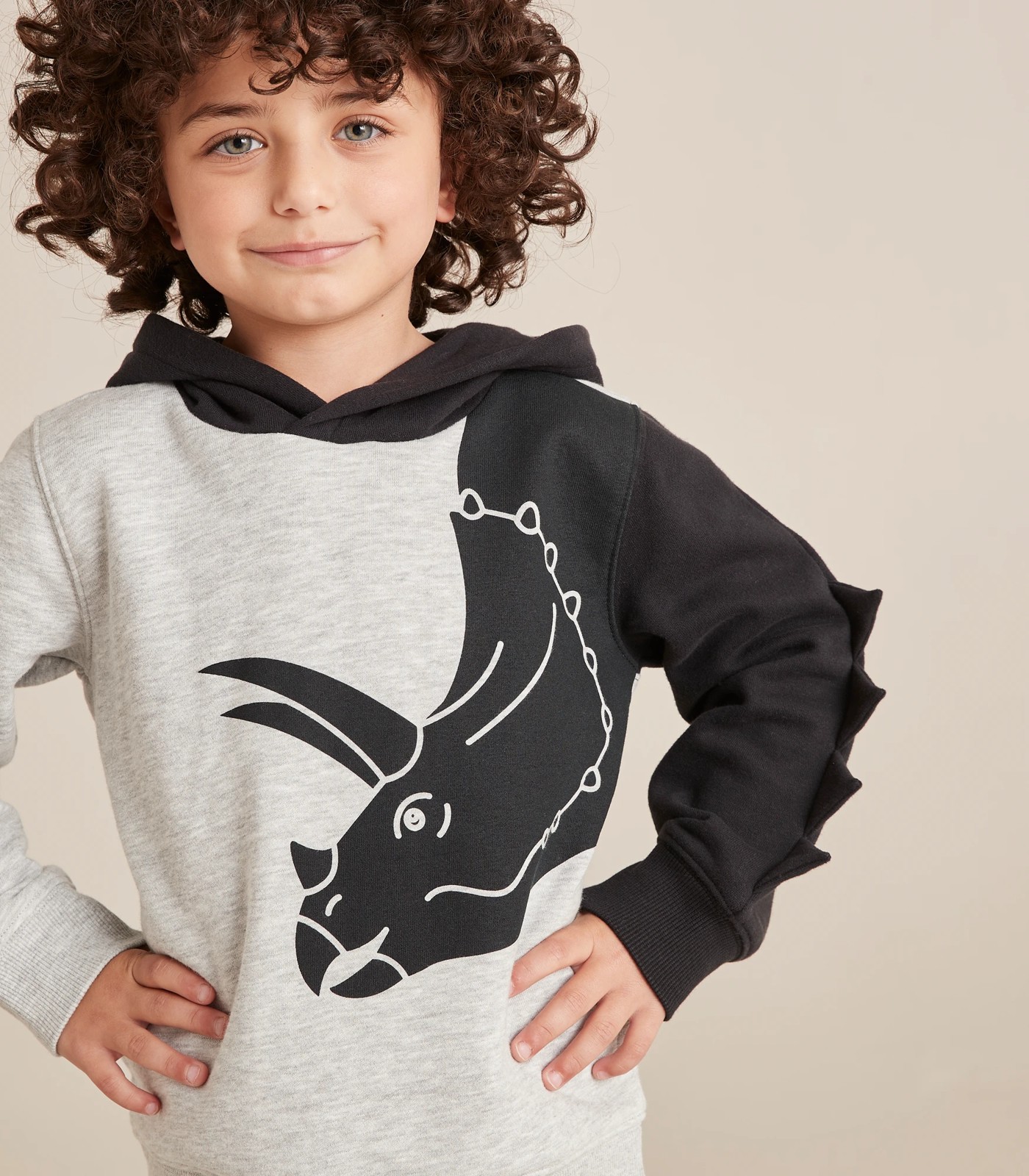 Boys Long Sleeve Embroidered Dino Fleece Knit Hoodie - Dino