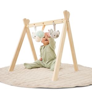 Activity Gym - Anko product image
