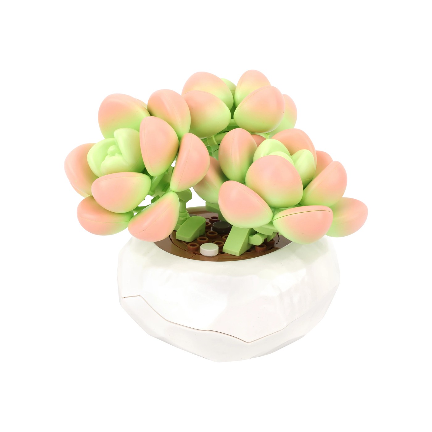 Mini Blocks Flower Series: Succulent Pot - Assorted 2 of 6