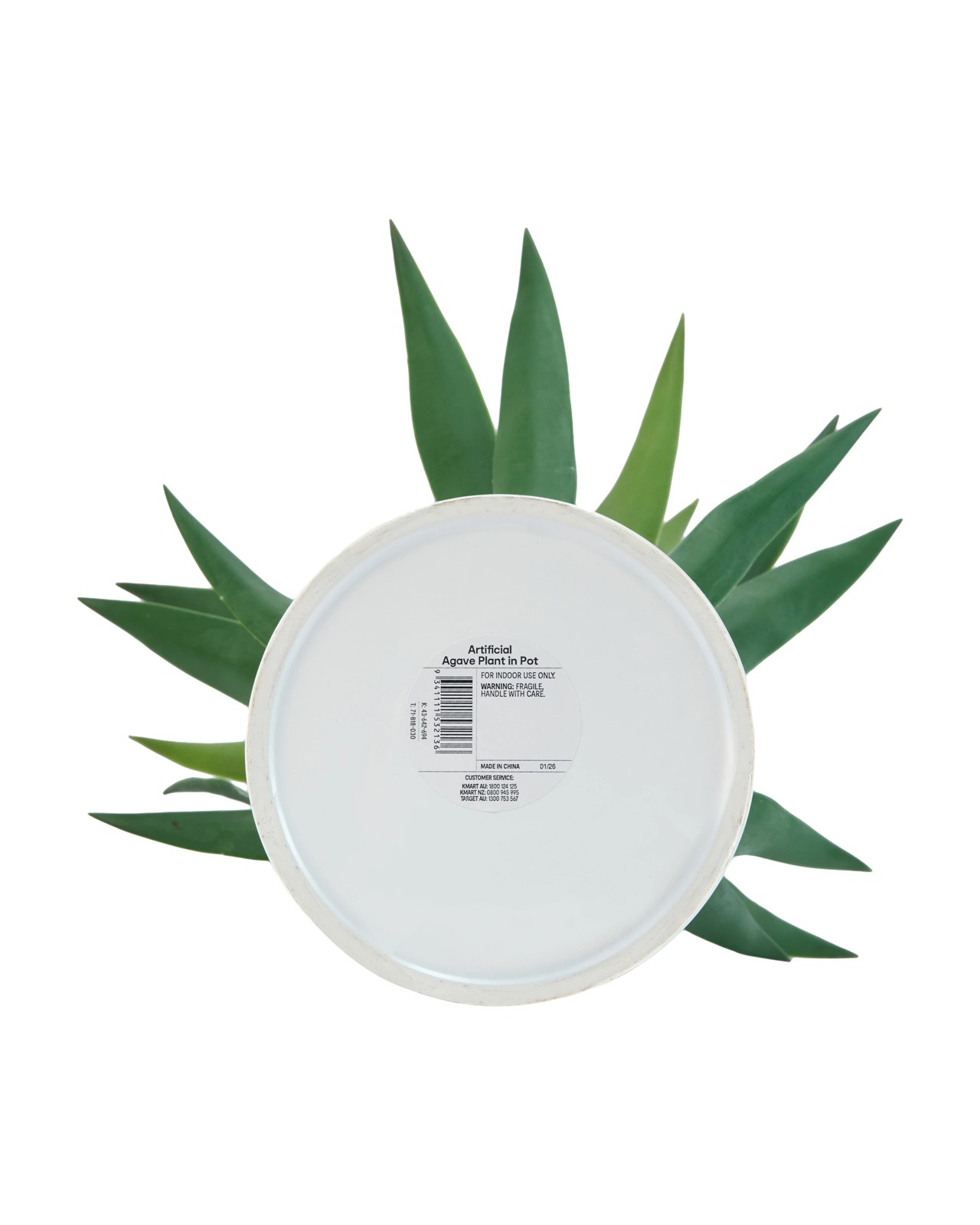 Anko Artificial Agave Plant in Pot 3 of 3