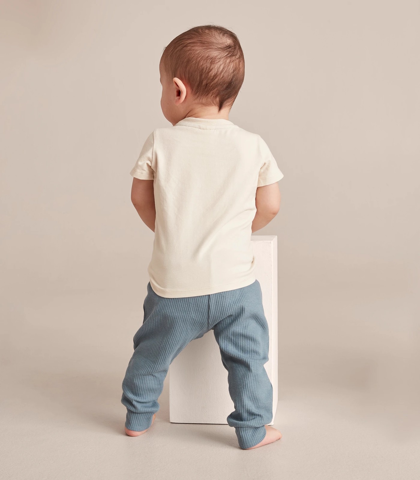 355_67246274_5+21FA9F