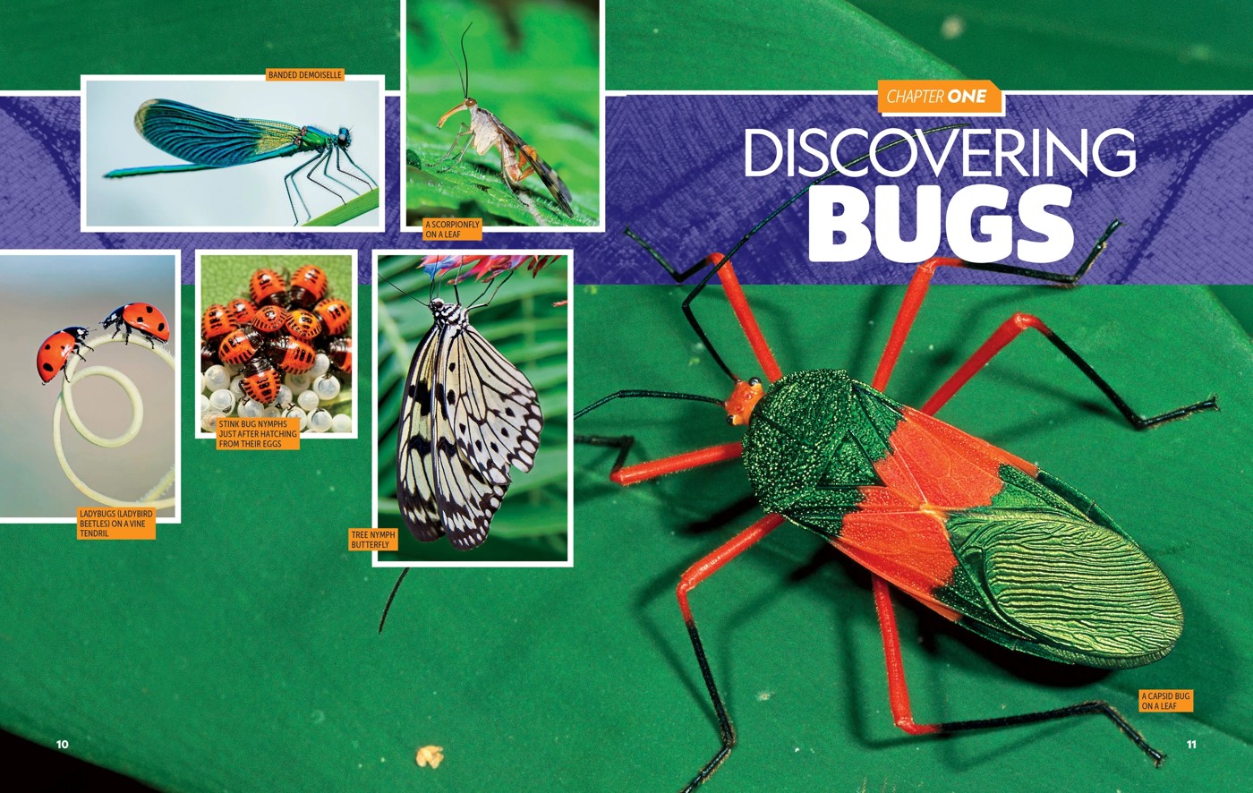 National Geographic Kids: Ultimate Bug-0pedia Second Edition by Darlyne Murawski and Nancy Honovich - Book 5 of 5