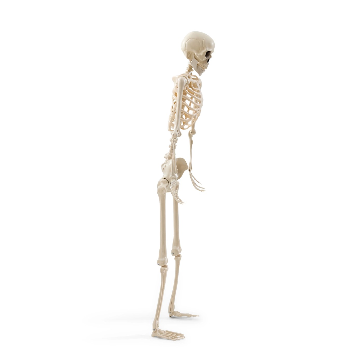Anko Battery Operated LED Light Up Poseable Skeleton 5 of 6