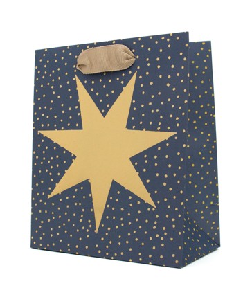 Hallmark Small Christmas Gift Bag - Shining Star