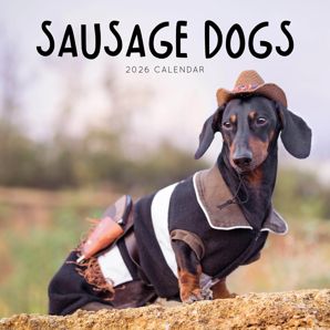 Sausage Dogs 2026 Calendar product image