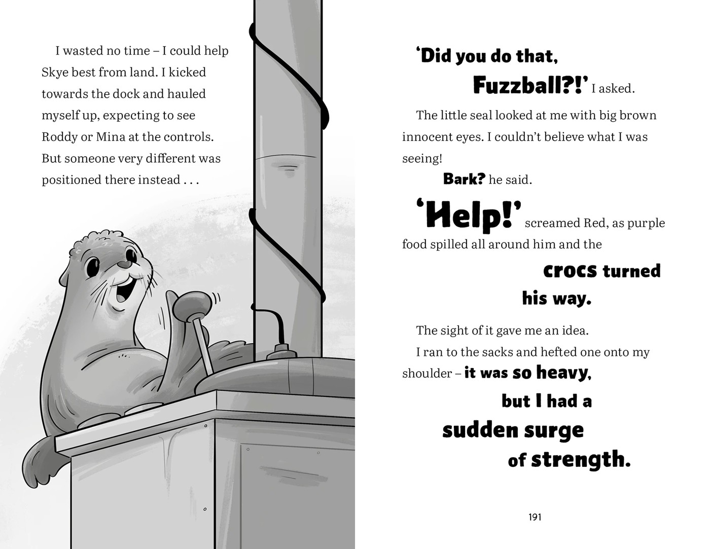 Shipwreck Bay: Dolphin Twins by Anh Do - Book 3 4 of 4