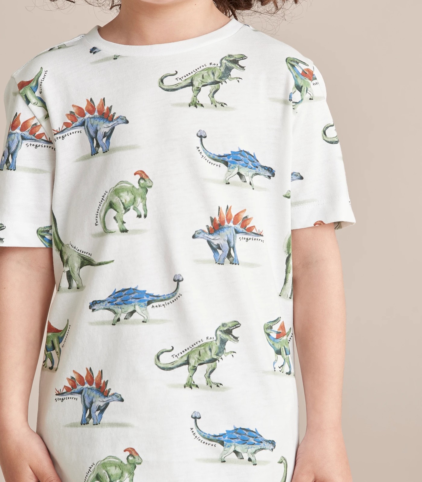 3 Pack Dinosaur T-shirts 3 of 6