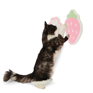 Anko 2 Pack Stick-On Cardboard Scratchers