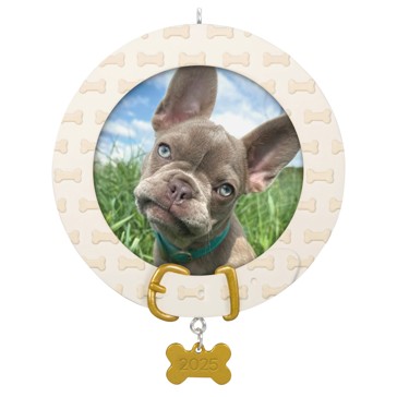 Faithful Friend Keepsake - Hallmark
