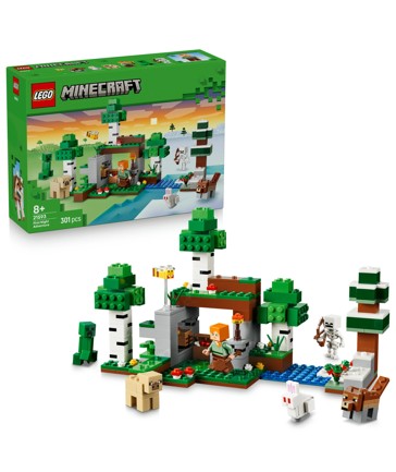 LEGO® Minecraft First Night Adventure 21593