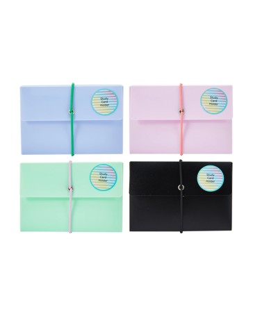 Anko Study Card Holder - Assorted