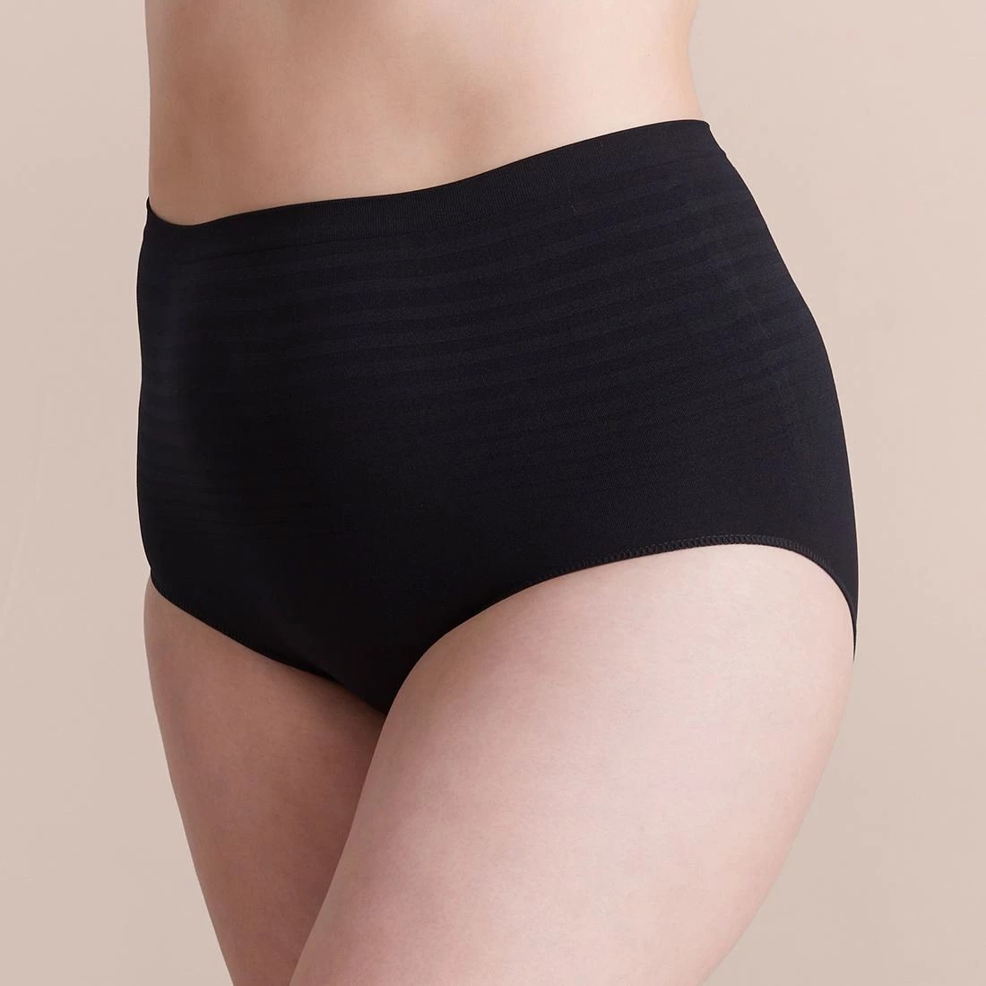 Plus Size 2 Pack Matte and Shine Full Briefs