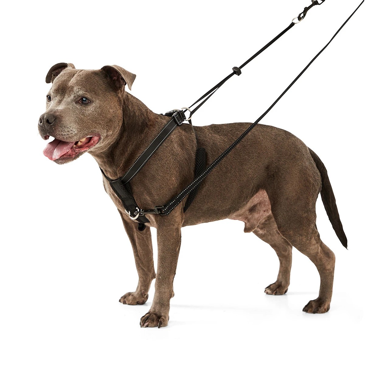 Dog No Pull Harness Anko Target Australia