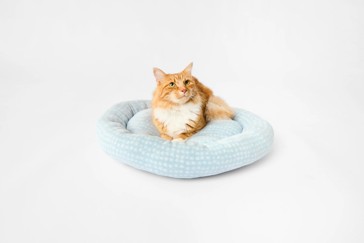 Pet Bed Round, Medium - Anko
