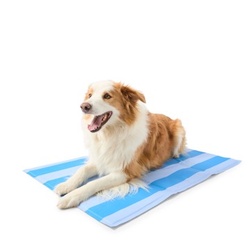 Anko Summer Stripes Cool Mat - Large