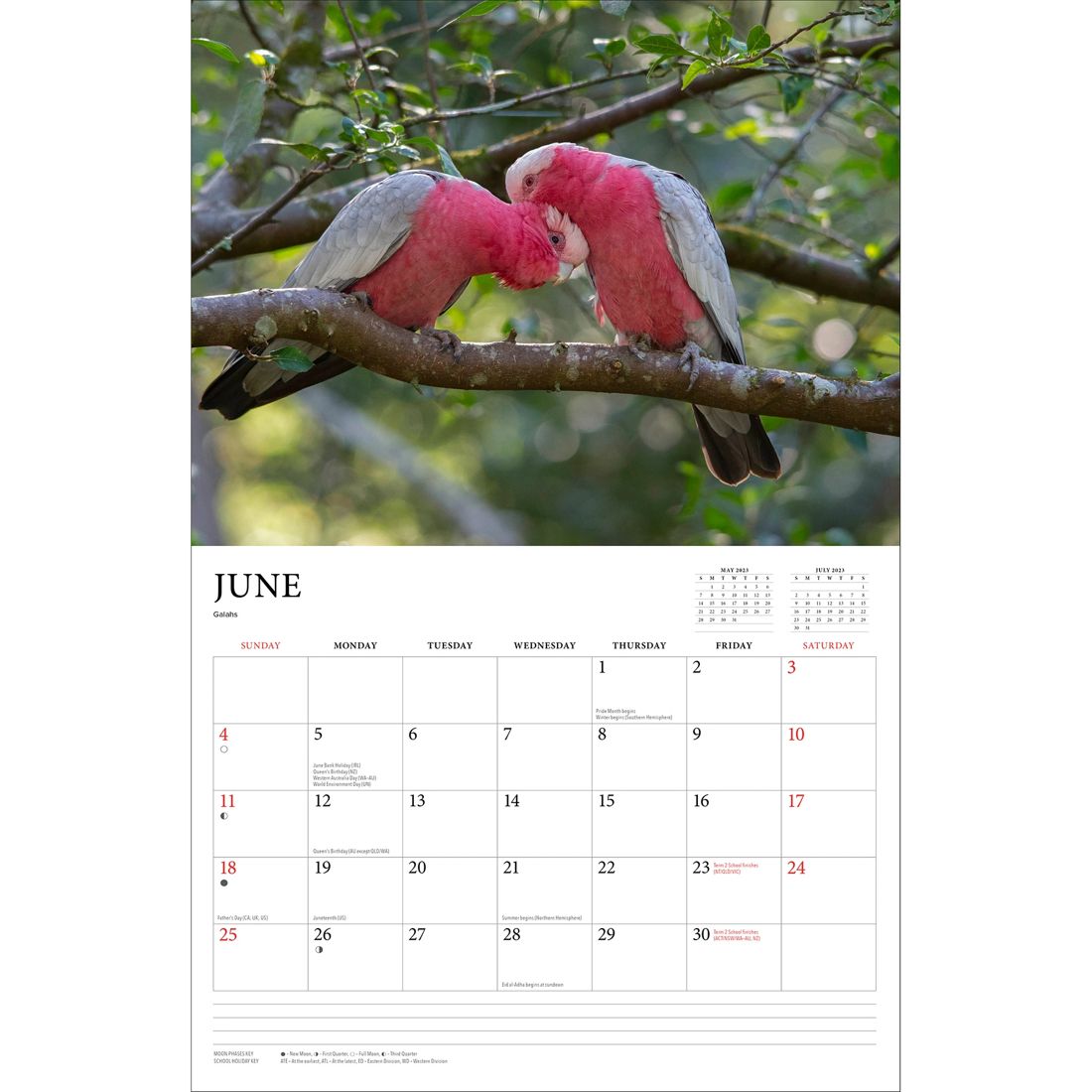 australian-wildlife-steve-parish-2023-horizontal-calendar-target