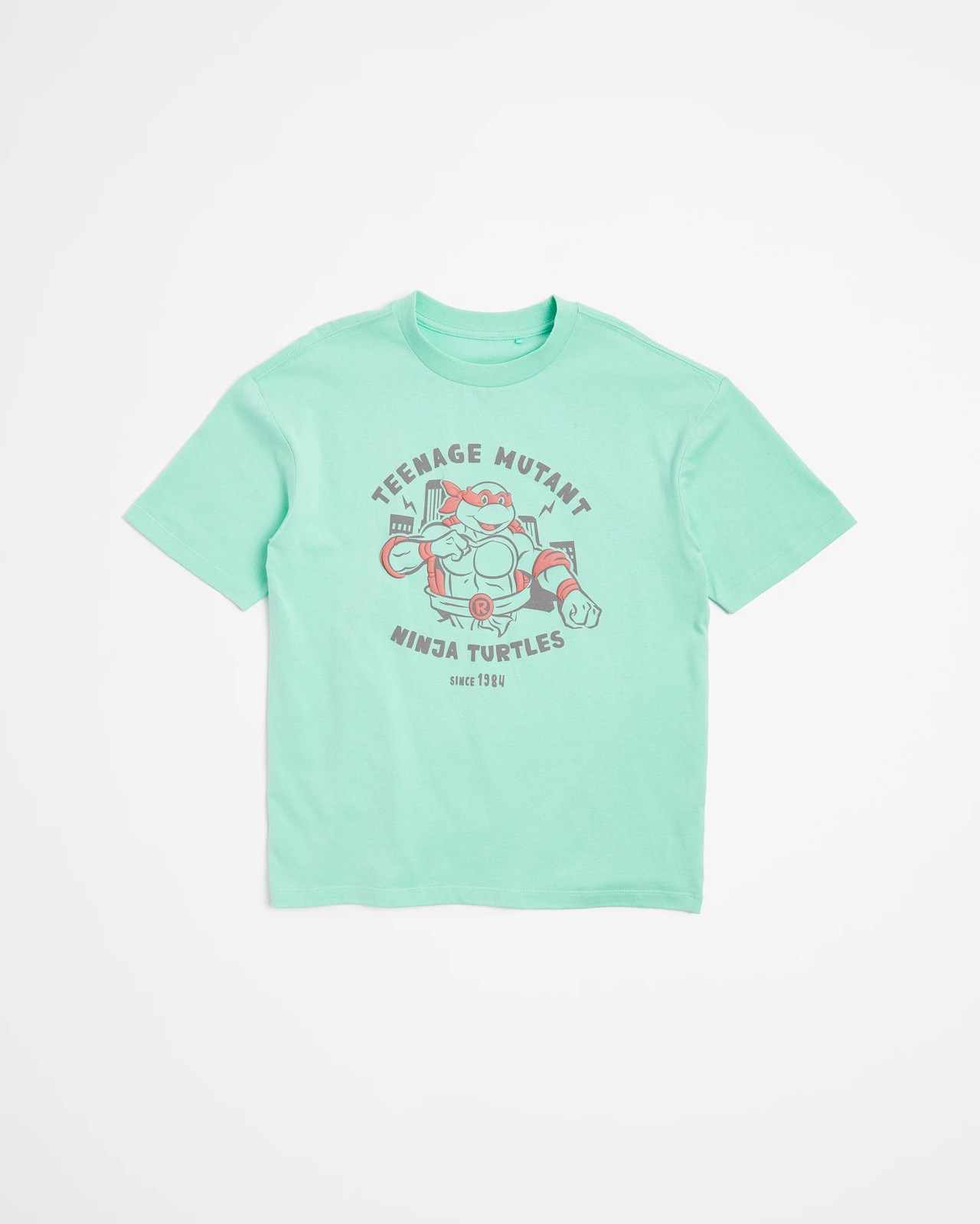 Teenage Mutant Ninja Turtles Oversize T-shirt 5 of 5