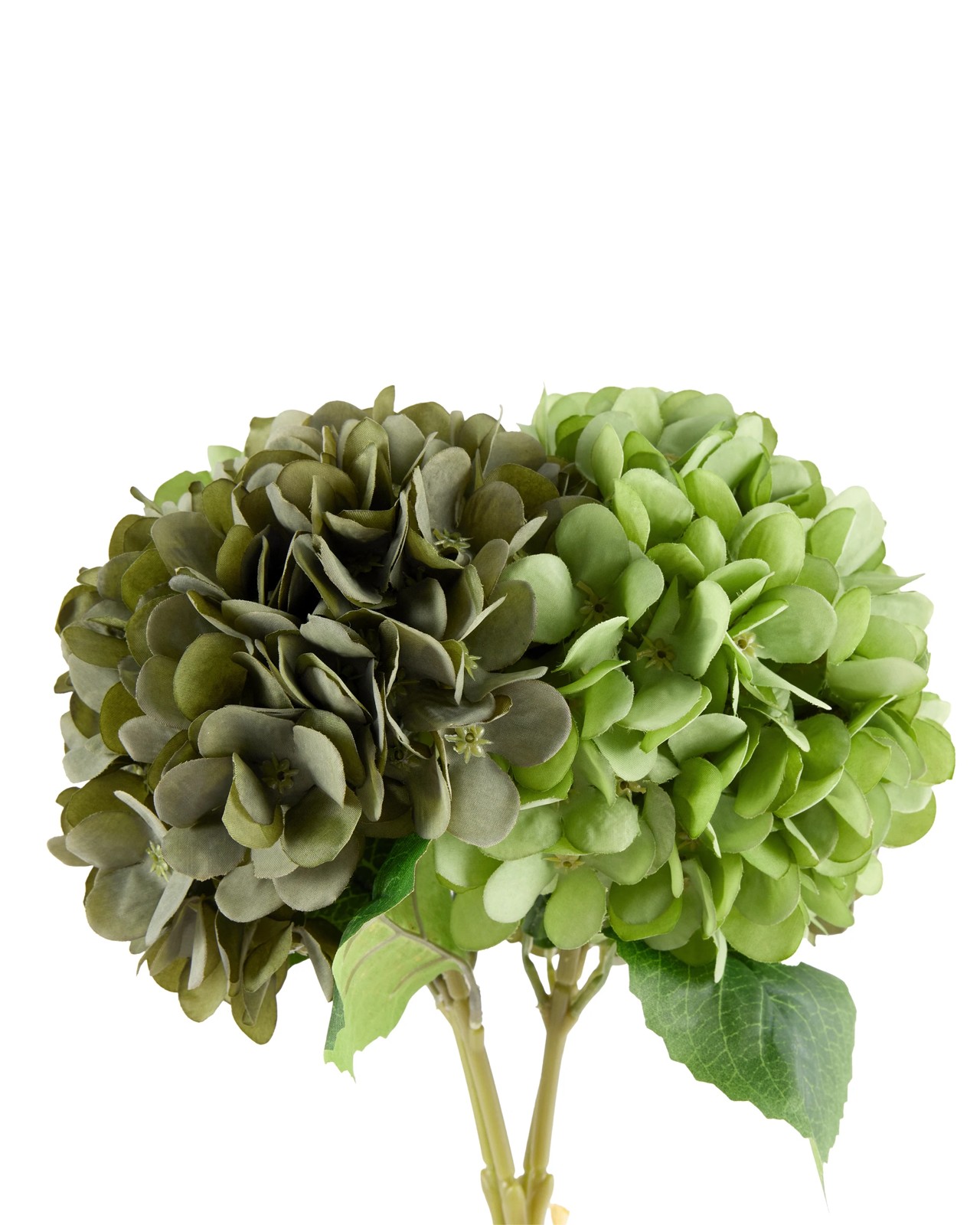 Anko Artificial Green Hydrangea Bunch 3 of 4
