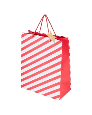 Anko Stripe Gift Bag - Large