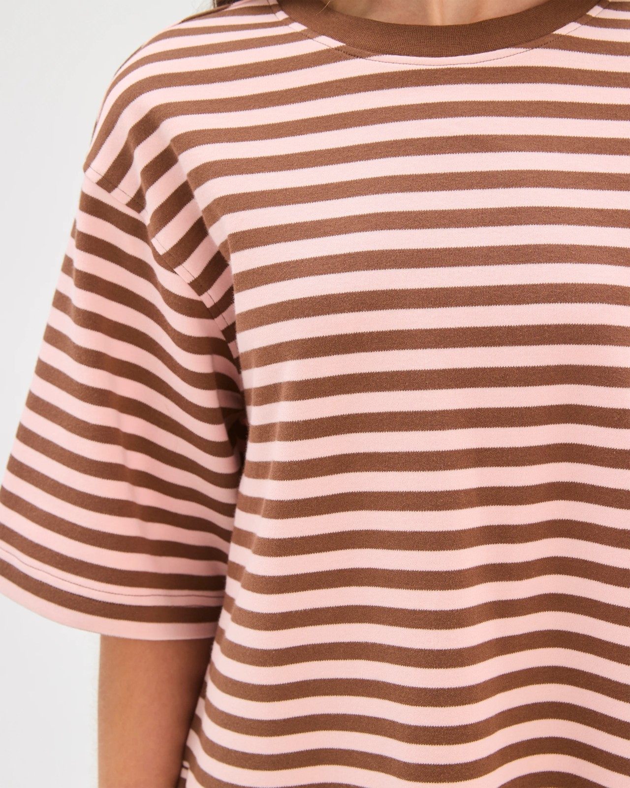 Petites Australian Cotton Heavyweight Boxy T-Shirt - Rose Water Stripe 4 of 6
