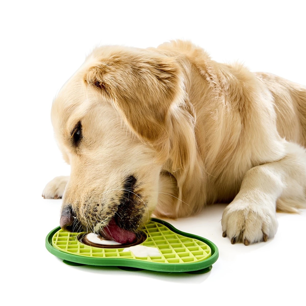 Novelty Pet Lick Mat, Assorted - Anko 3 of 6