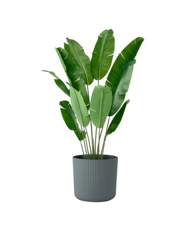 Anko 43cm Linear Plastic Pot - Dark Grey